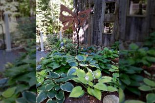 Detail from the Meyer garden, one of 7 on the tour
